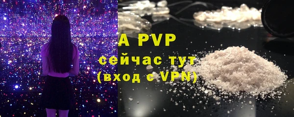 мяу мяу мука Верея